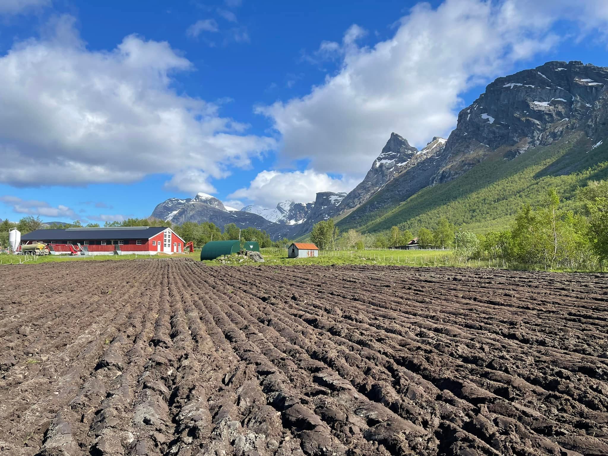 Tverbakken Gård ved Nevelsfjorden på Kjerringøy i Nordland — norsk gård siden 1755